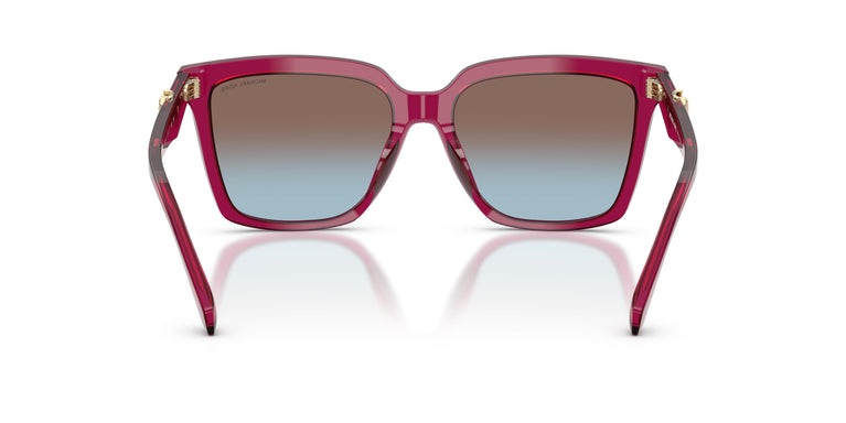 Michael Kors MK2256U MENAGGIO 4032H7 55