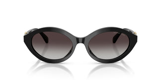 Michael Kors MK2257U CARLAZZO 30058G 55