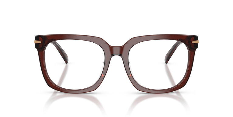 Michael Kors MK4176U ONTARIO 3401 54