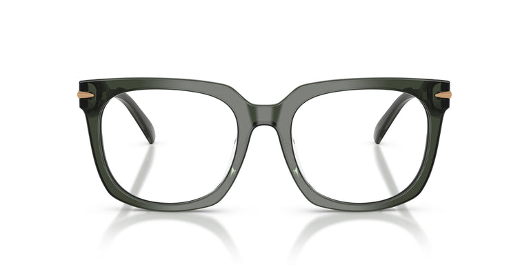 Michael Kors MK4176U ONTARIO 3961 54