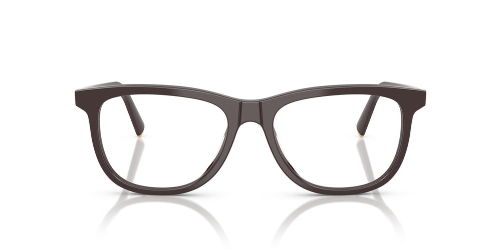 Miu Miu MU 01WV  22C1O1 52
