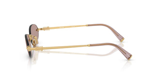 Miu Miu MU A54S  5AK20I 51