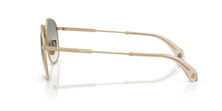 Moncler ME4013 FENNIX 10242C 56