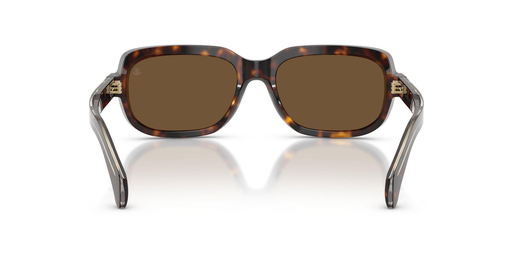 Moncler ME6008 SUNTRAP 300273 55
