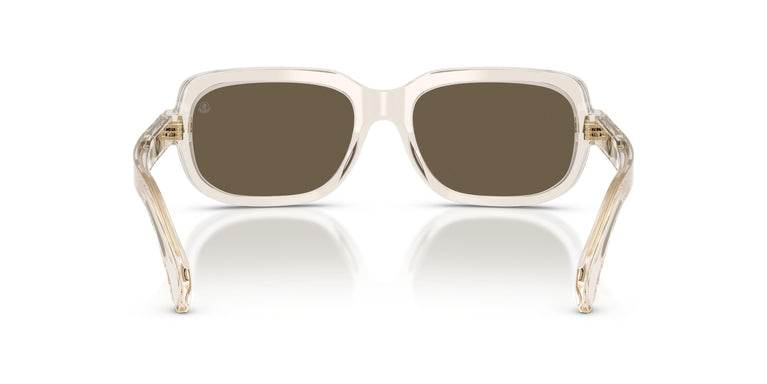 Moncler ME6008 SUNTRAP 30035A 55