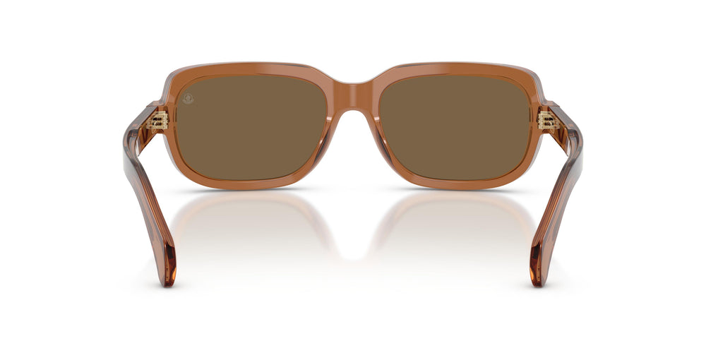 Moncler ME6008 SUNTRAP 3017F9 55