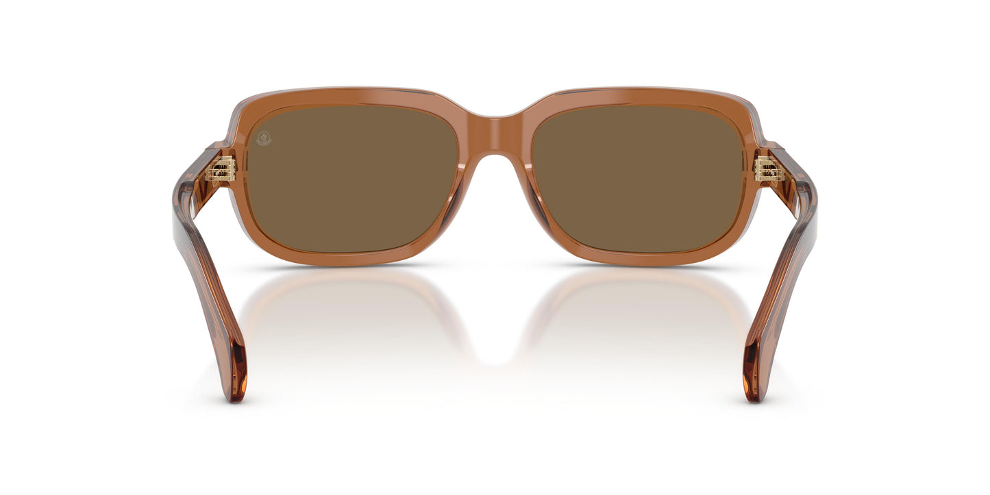 Moncler ME6008 SUNTRAP 3017F9 55