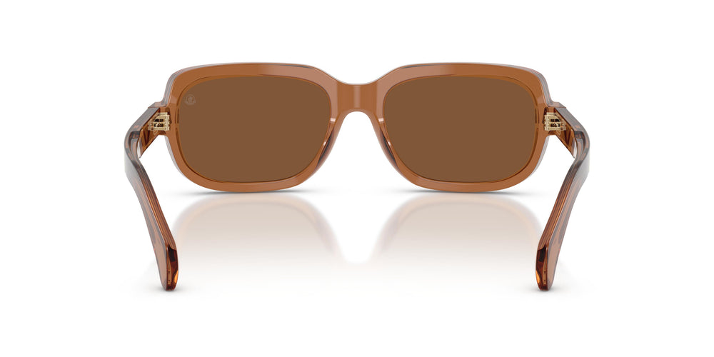 Moncler ME6008 SUNTRAP 3017/3 55
