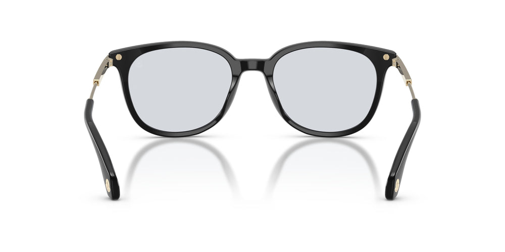 Moncler ME6013 KORRA 300172 53