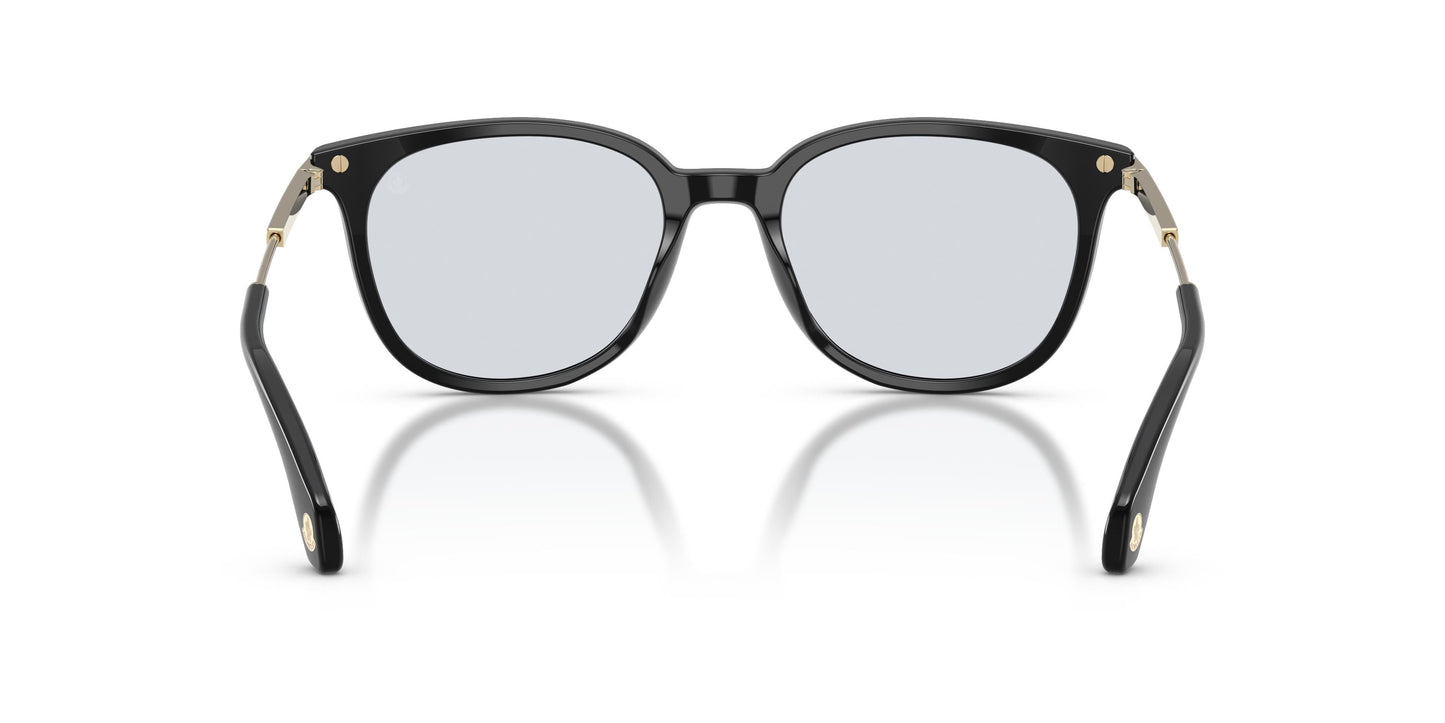 Moncler ME6013 KORRA 300172 53