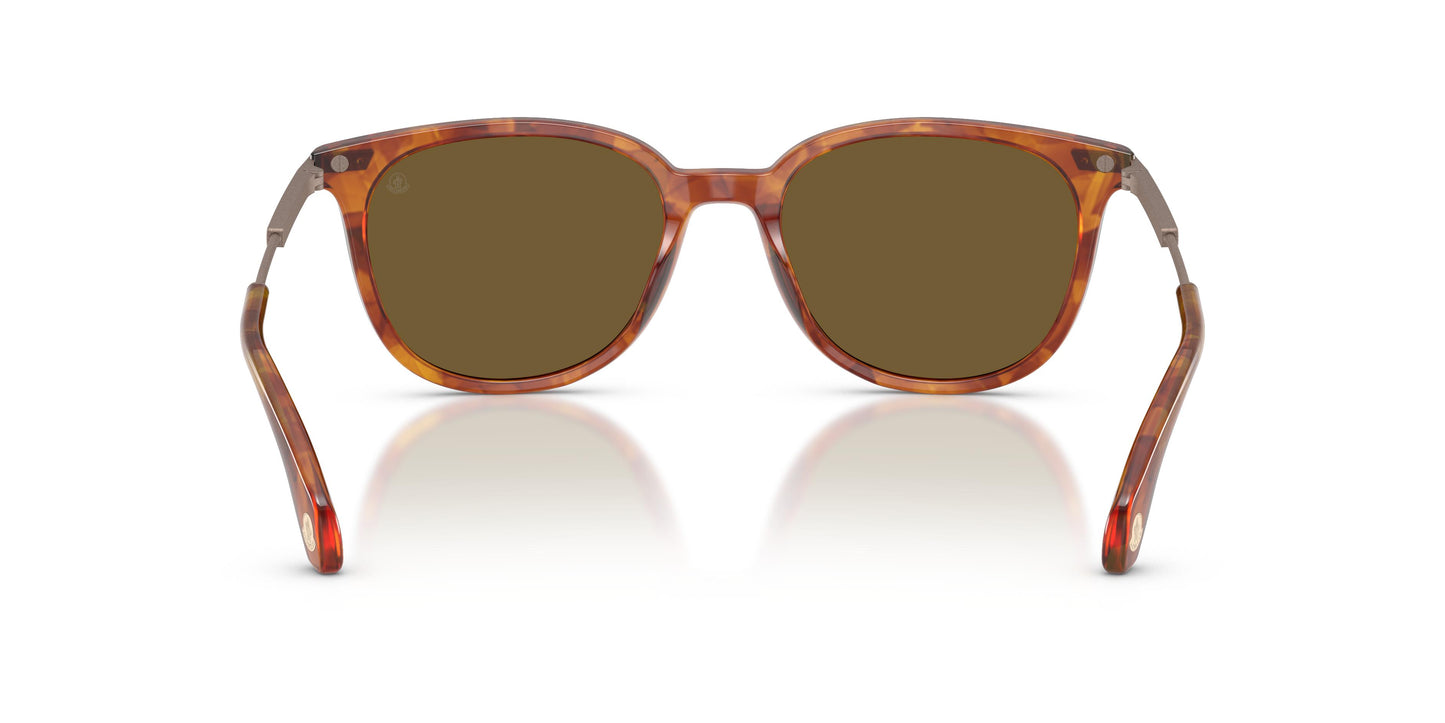 Moncler ME6013 KORRA 300475 53