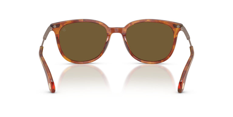 Moncler ME6013 KORRA 300475 53