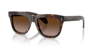Moncler ME6023 BRONZZ 300213 52
