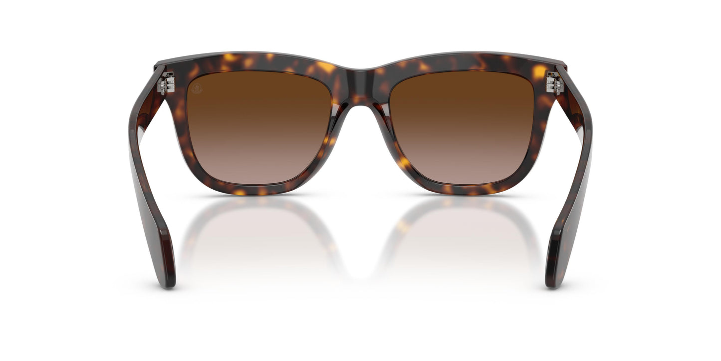 Moncler ME6023 BRONZZ 300213 52