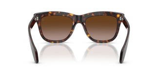 Moncler ME6023 BRONZZ 300213 52