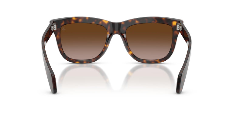 Moncler ME6023 BRONZZ 300213 52