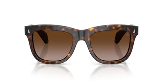 Moncler ME6023 BRONZZ 300213 52