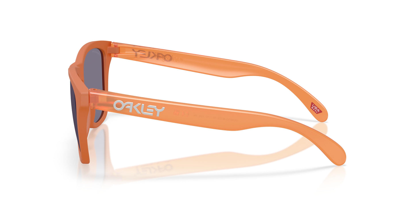 Oakley OO9013 FROGSKINS 9013M1 55