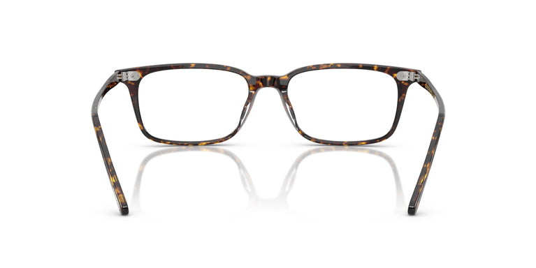 Oliver Peoples OV5579U NEYLAN 1741 53