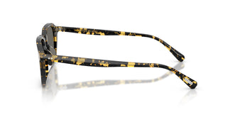 Oliver Peoples OV5598SU EMRYN 1778R5 50