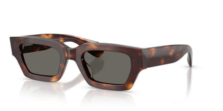 Oliver Peoples OV5612SU EDITION 6 1007P2 50