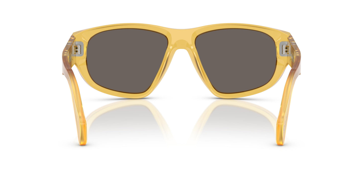 Persol PO0050S  204/B1 55