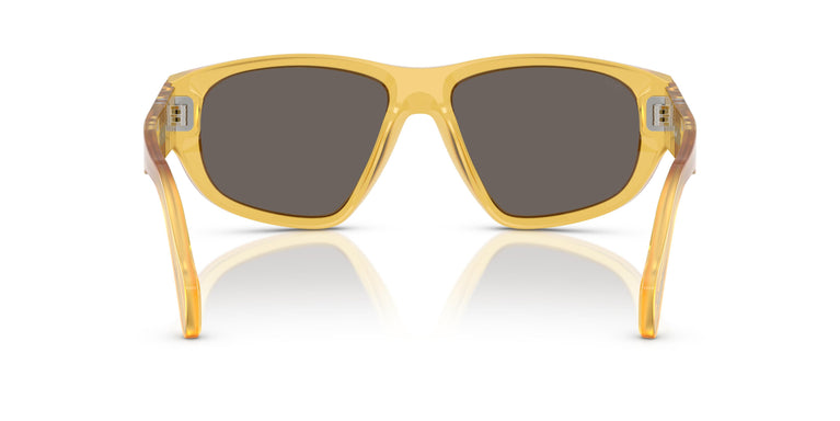 Persol PO0050S  204/B1 55
