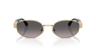 Persol PO1024S 515/M3 56