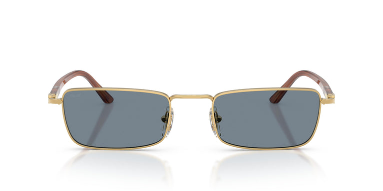 Persol PO1025S 113256 54