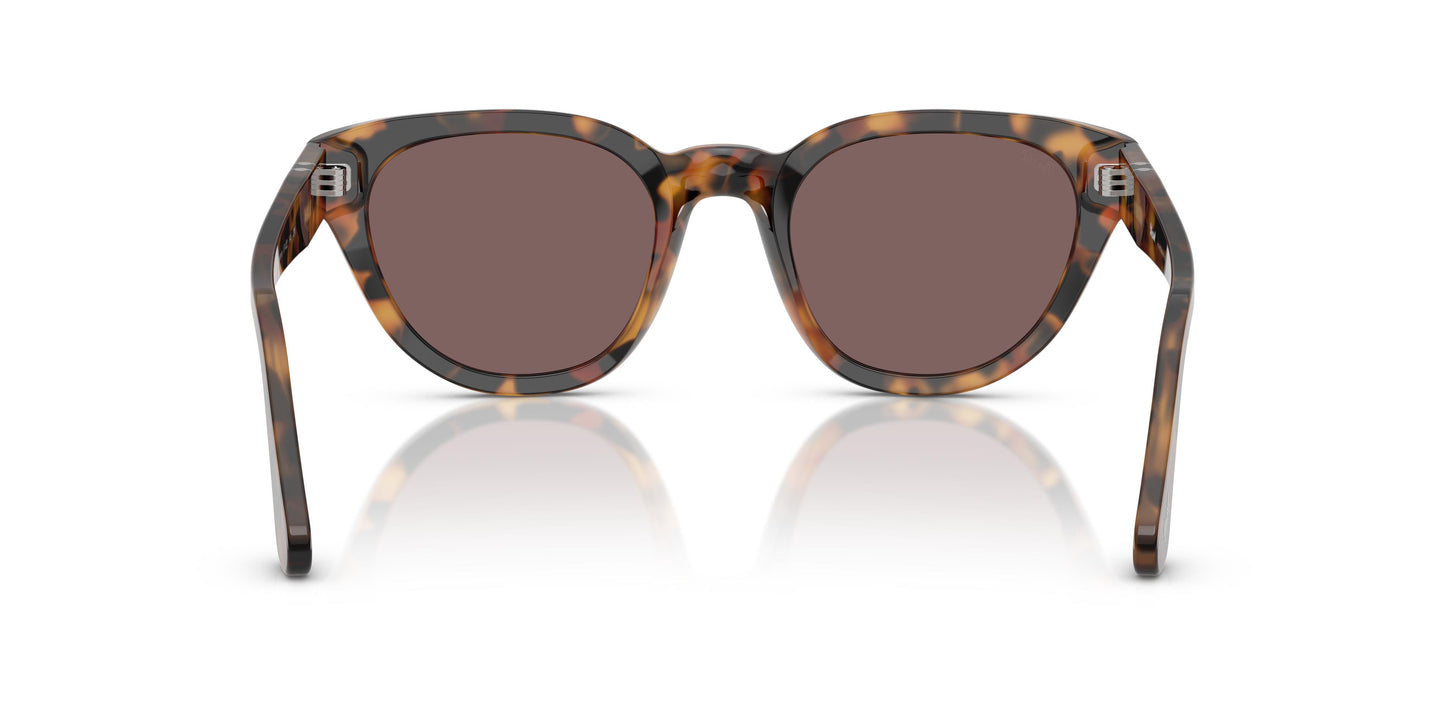 Persol PO3379S  105253 54