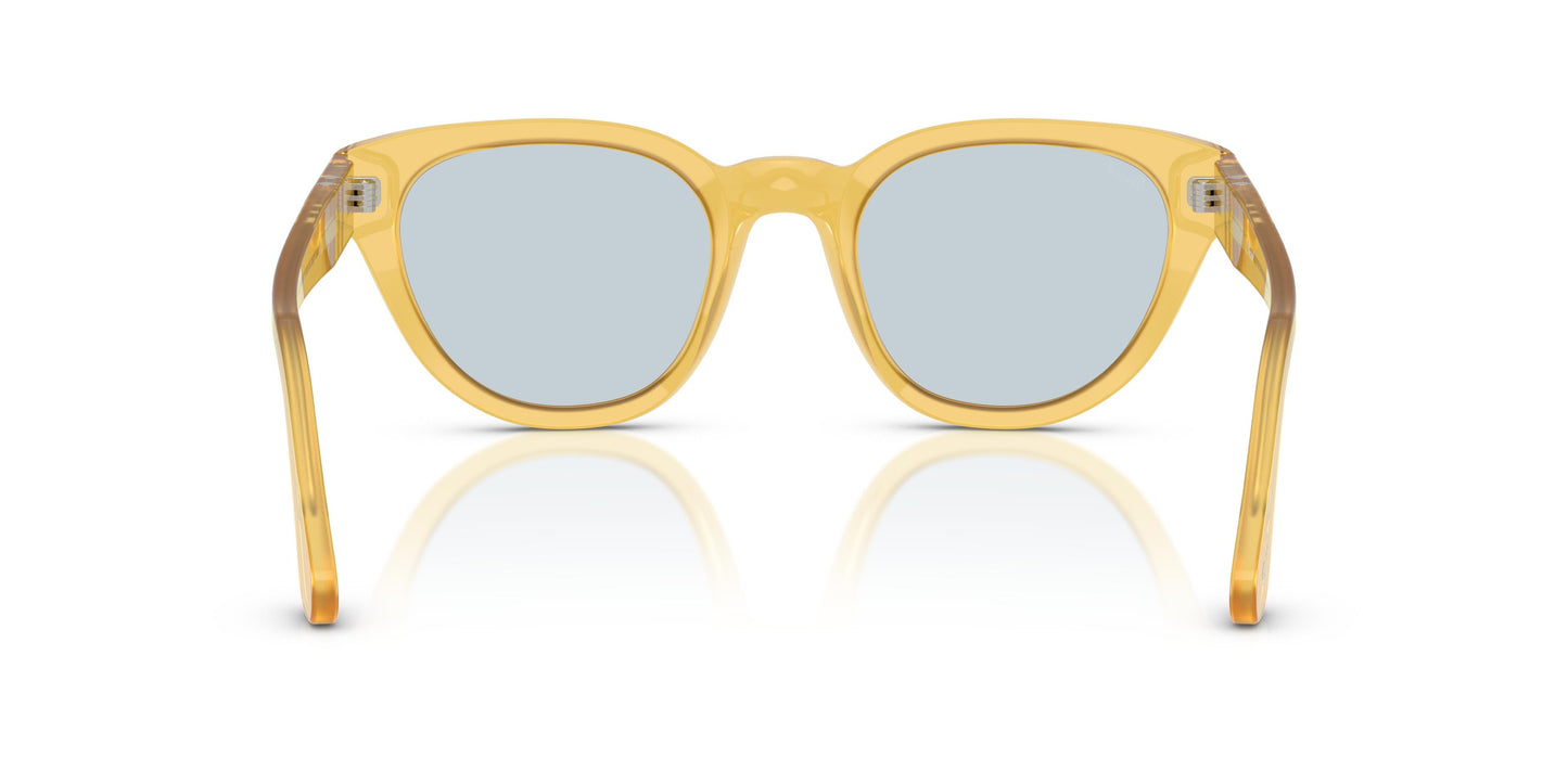 Persol PO3379S  204/56 51