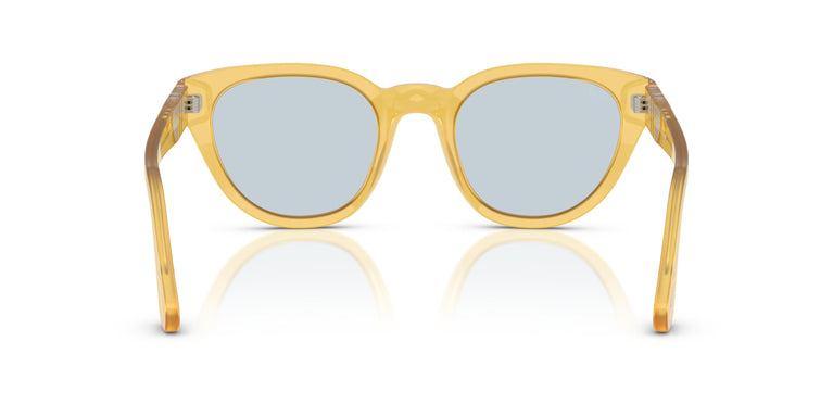Persol PO3379S  204/56 51