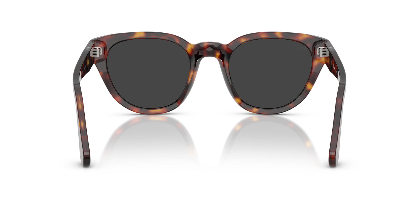Persol PO3379S  24/48 51