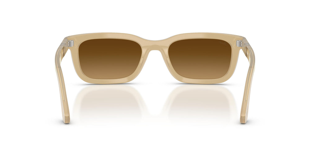 Persol PO3396S 116985 53