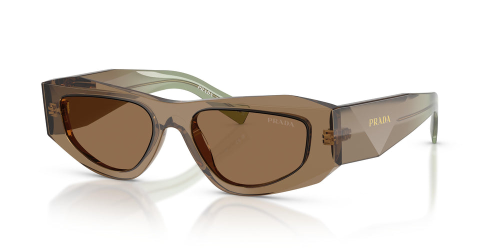 Prada PR B19S 29E90F 52