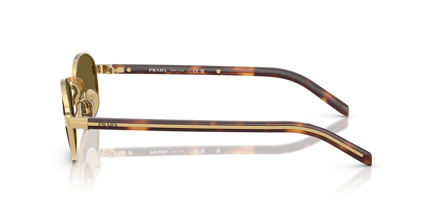 Prada PR B53S  5AK09Z 49