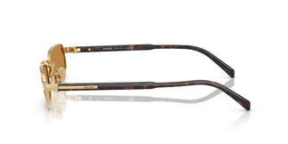 Prada PR B54S  5AK50P 54