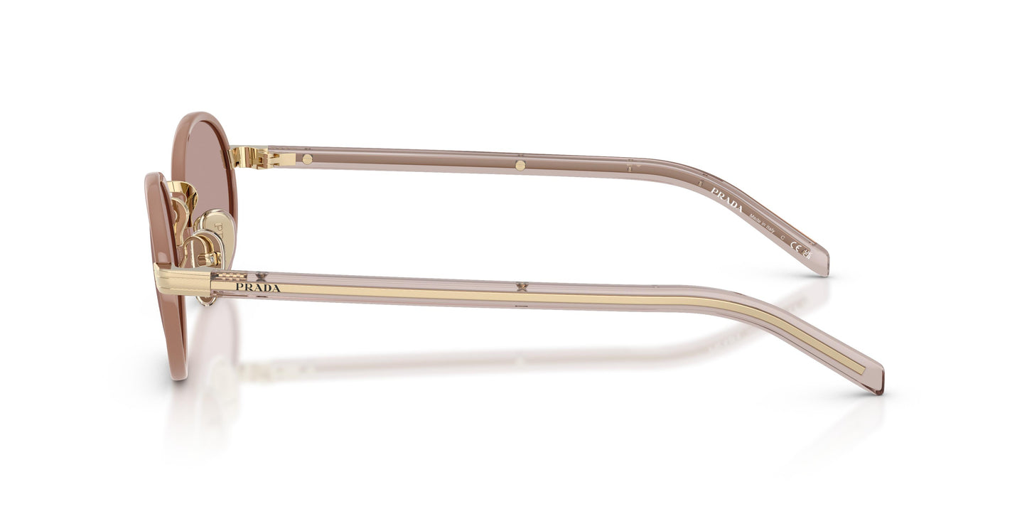 Prada PR B56S  24E20I 52