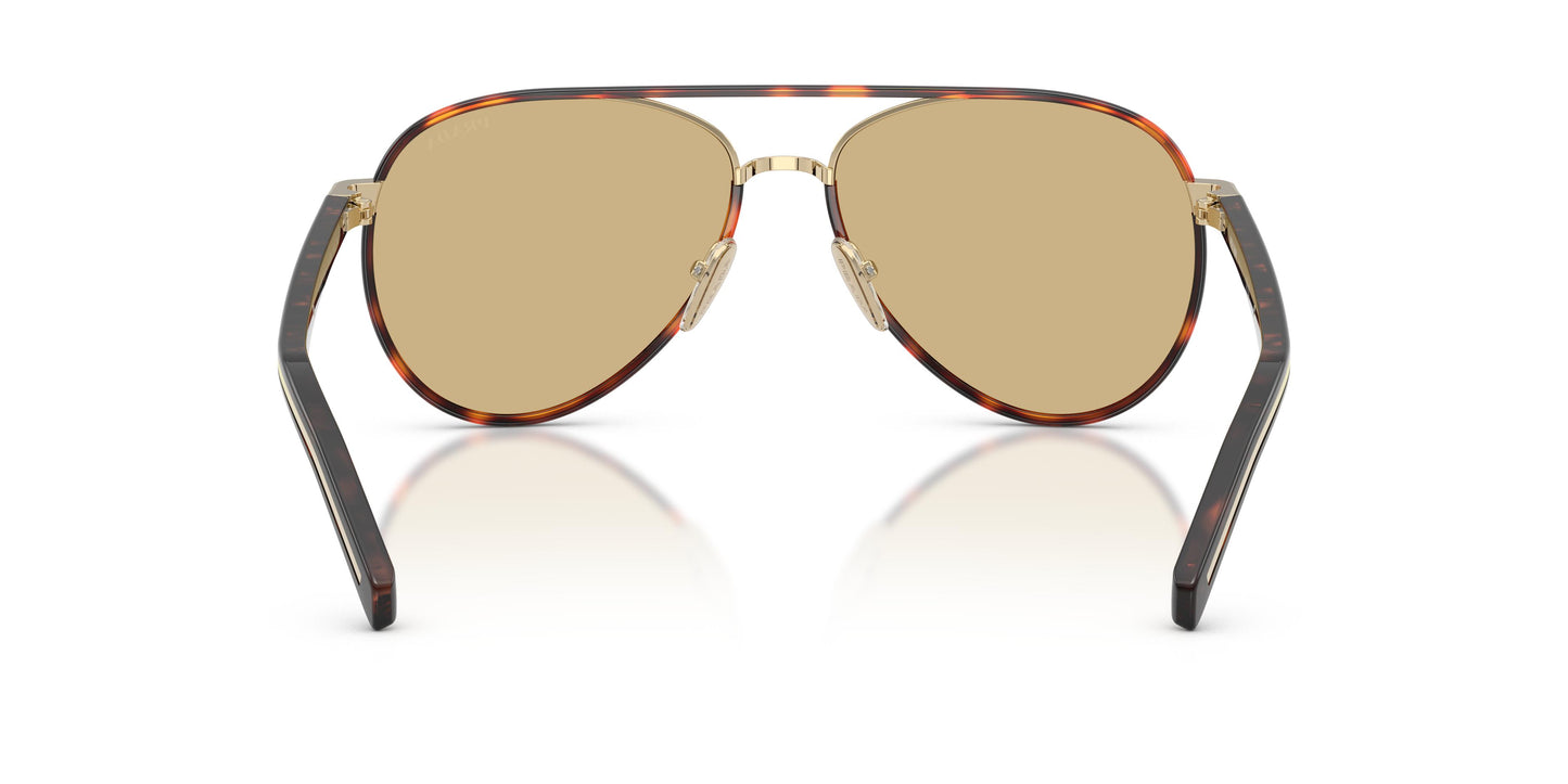 Prada PR B57S  21E10R 56