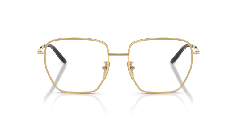 Prada PR C51VD 5AK1O1 54