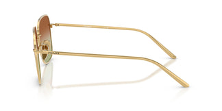 Prada PR C54SD 5AK70T 54