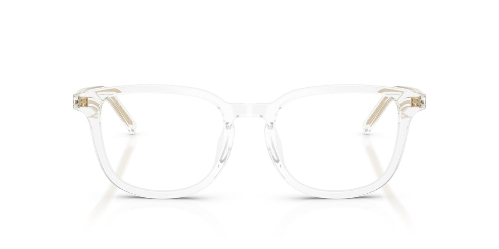 Prada PR D21VD 15Z1O1 52
