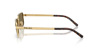 Prada PR D54S 24J90F 55