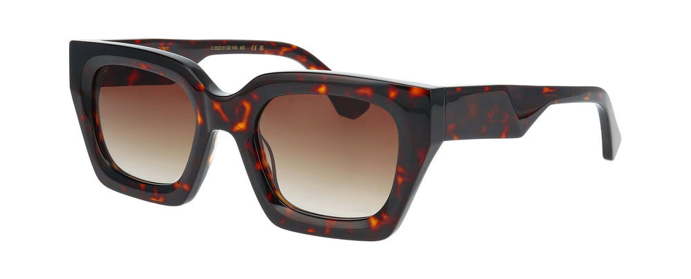 ProDesign ICE 5522 51