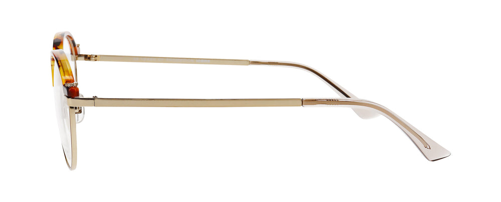 ProDesign SWITCH 1 2022 50