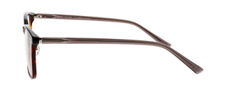 ProDesign VIBE 4 5534 55