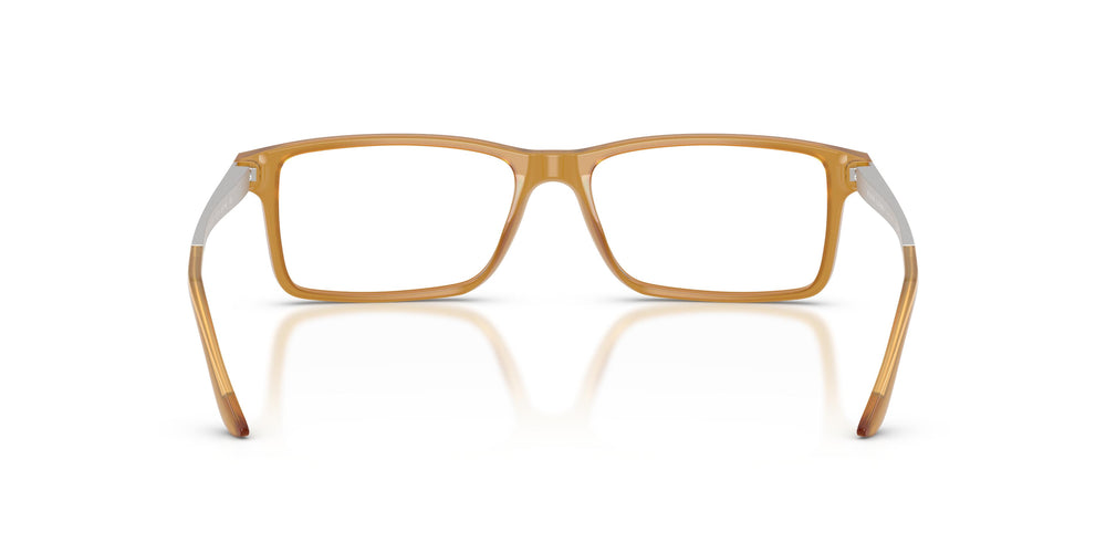 Ralph Lauren RL6128 5275 55