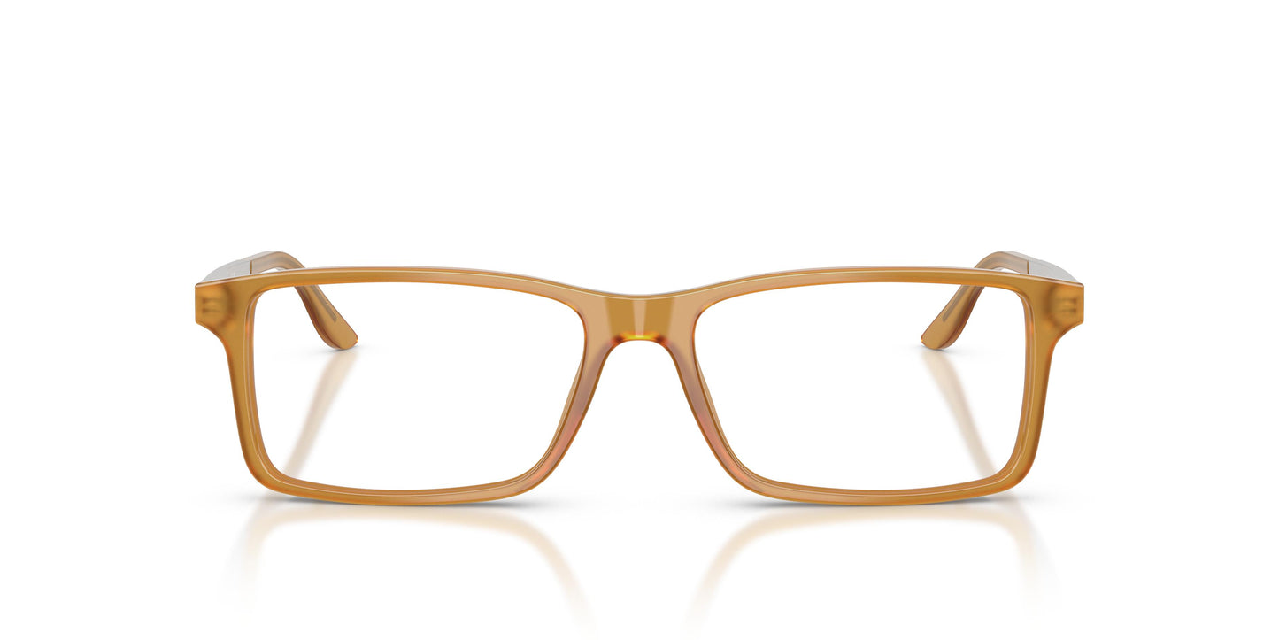 Ralph Lauren RL6128 5275 55