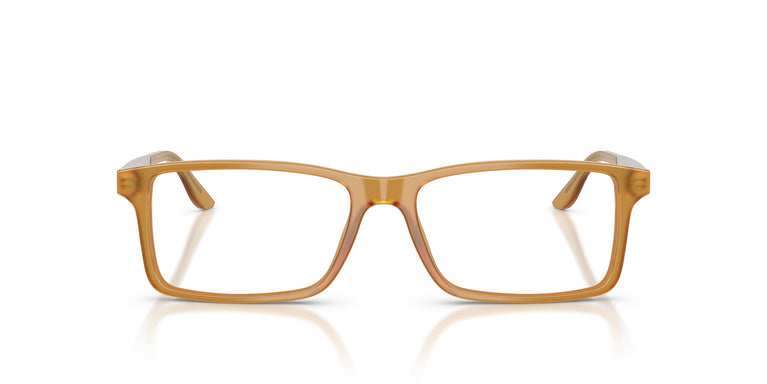 Ralph Lauren RL6128 5275 55