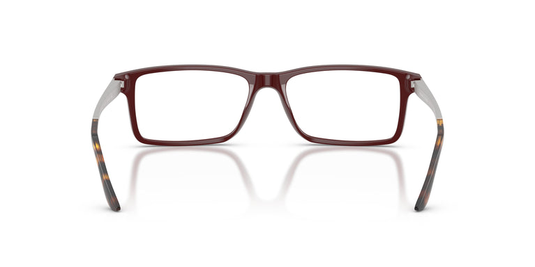 Ralph Lauren RL6128 6311 53